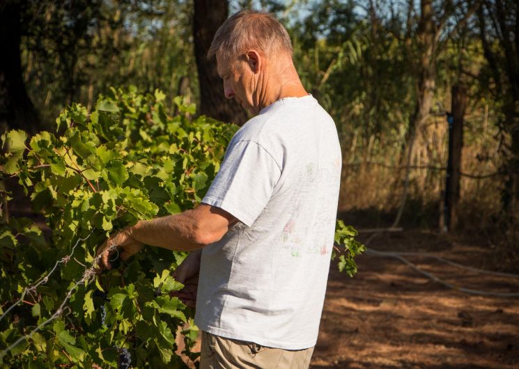 domaine-AB-Tourrette