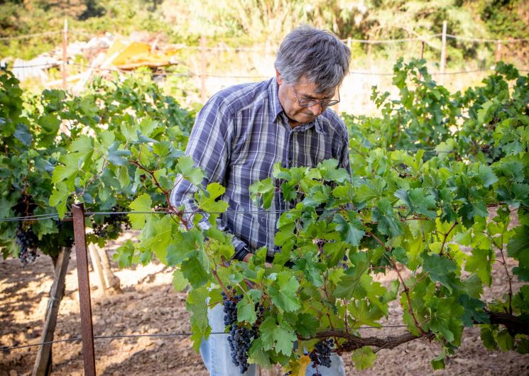 domaine-AB-Tourrette