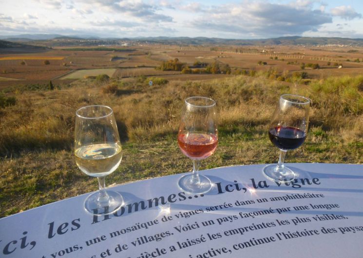 Domaine Larose_Alignan-du-Vent