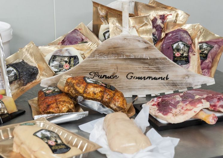 Ferme de Phalange_Aux-Aussat