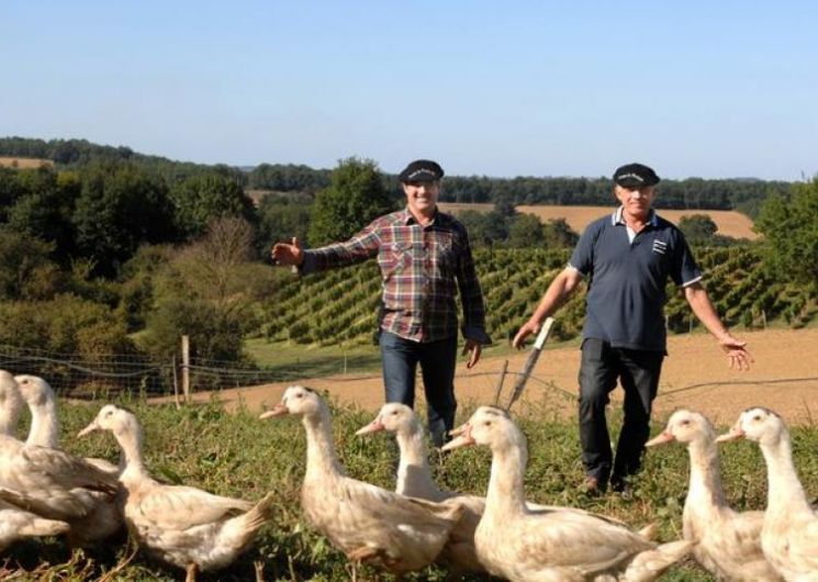 Ferme de Phalange_Aux-Aussat