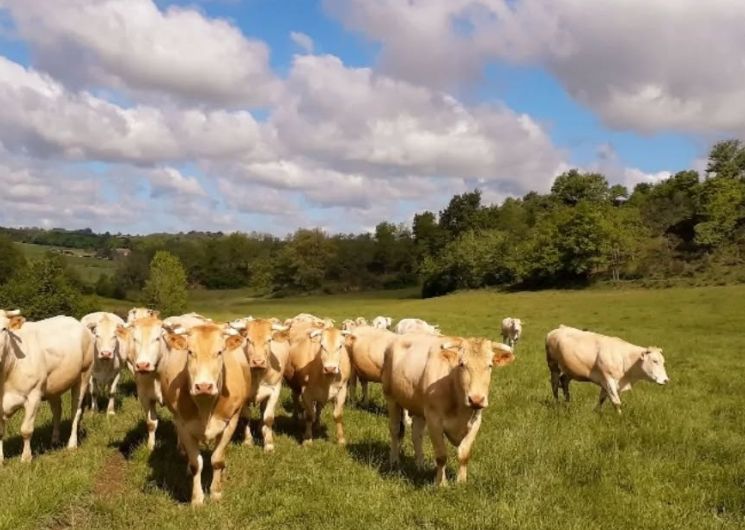 Maison Fourcade_Loubersan