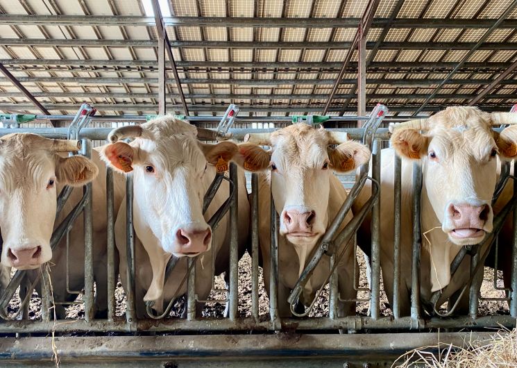 Maison Fourcade_Loubersan