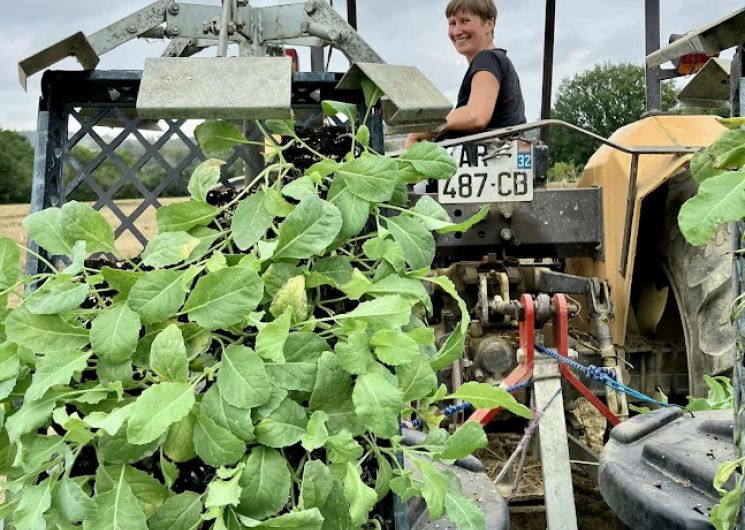 Ferme Lacaze - Amap la Bataillouse_Sadeillan