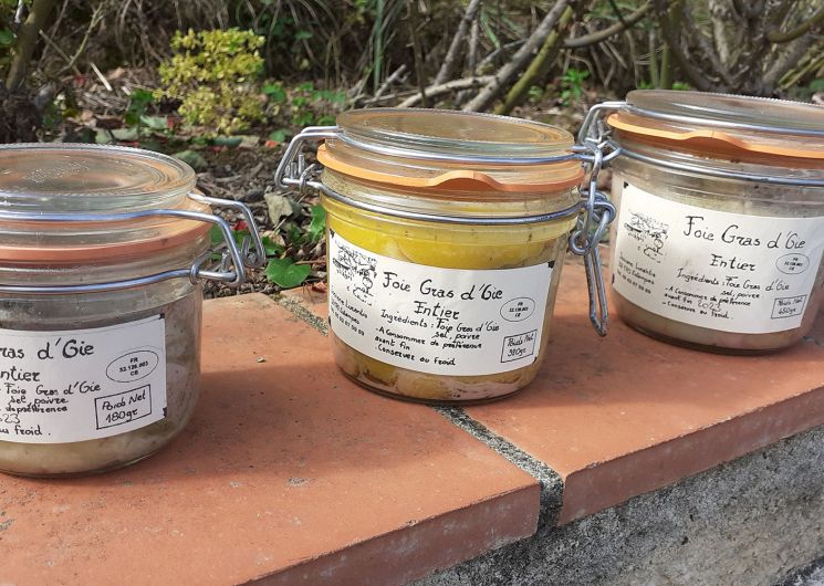 Foie gras Josiane Lucantis_Estampes