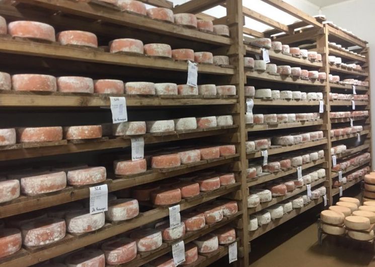 Fromagerie Monfort_Clermont-Pouyguillès