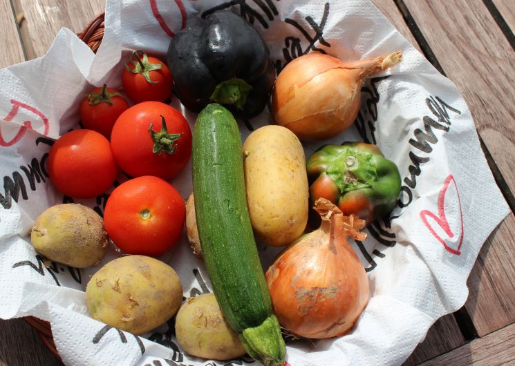 Ferme Maluva_Saint-Martin