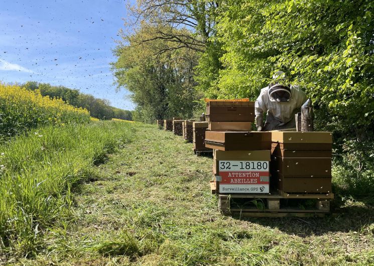 Mella Apiculture_Laguian-Mazous