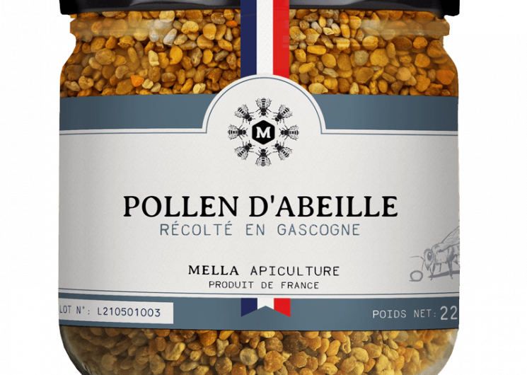 Mella Apiculture_Laguian-Mazous
