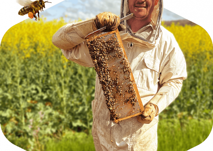 Mella Apiculture_Laguian-Mazous