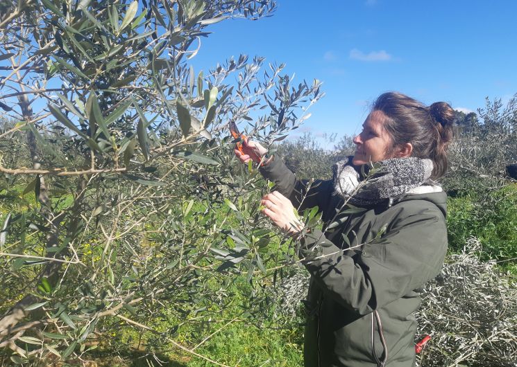 Terres Ardentes_Blaziert