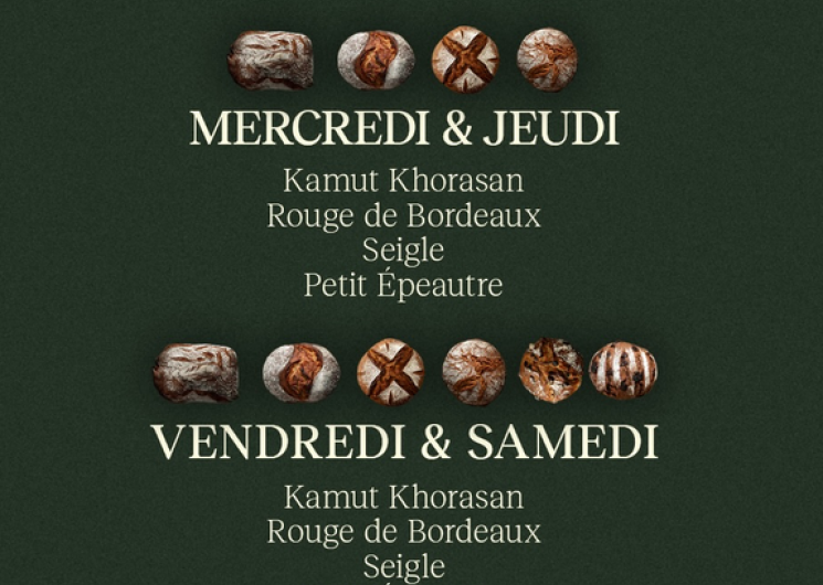 La Maison Monceret / Boulangerie_Beaumont-de-Lomagne