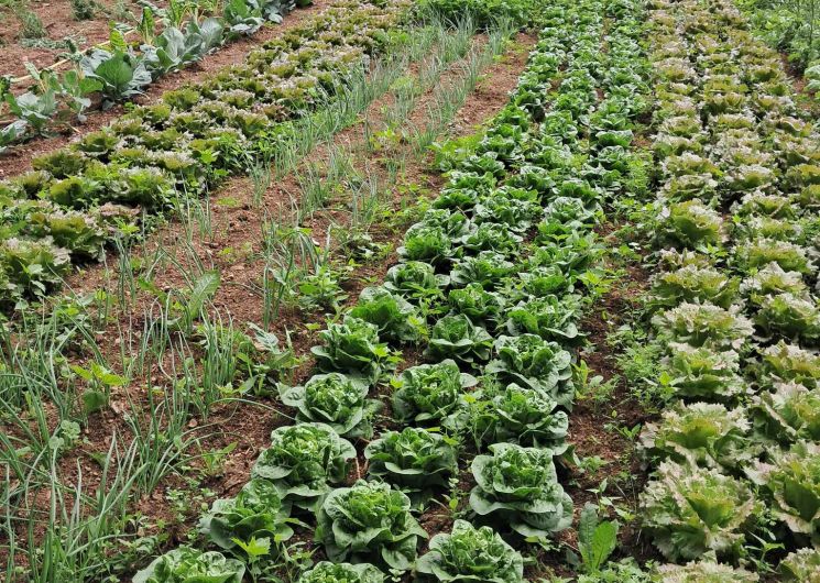 La ferme de Riveyrals