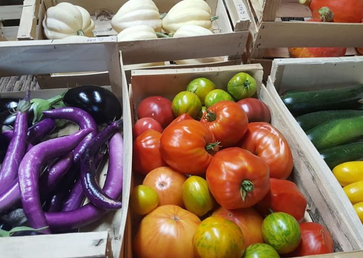 Les Pousses des Rives de l'Arros_Villecomtal-sur-Arros