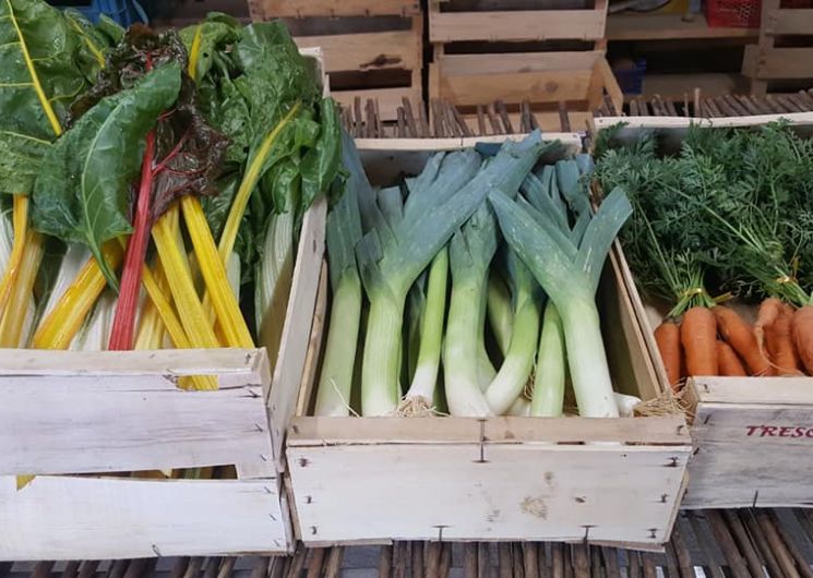 Les Pousses des Rives de l'Arros_Villecomtal-sur-Arros