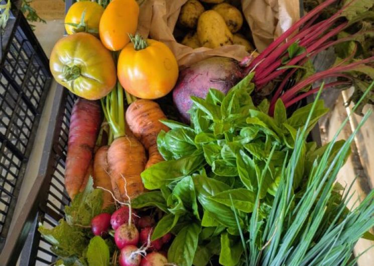 Mon coing de nature_Pujaudran