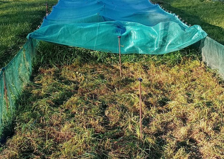 L'Escargot'enpot_Estampes