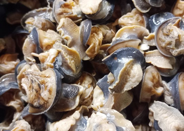 L'Escargot'enpot_Estampes