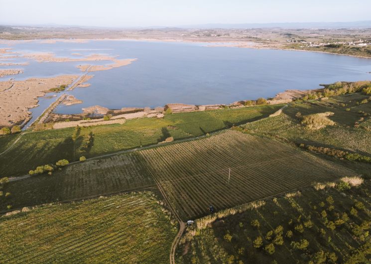 Poudou Wine_Sérignan