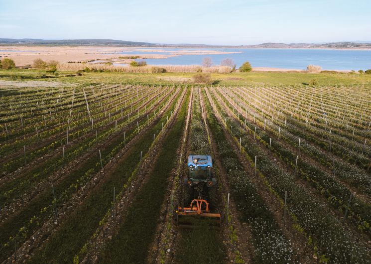 Poudou Wine_Sérignan