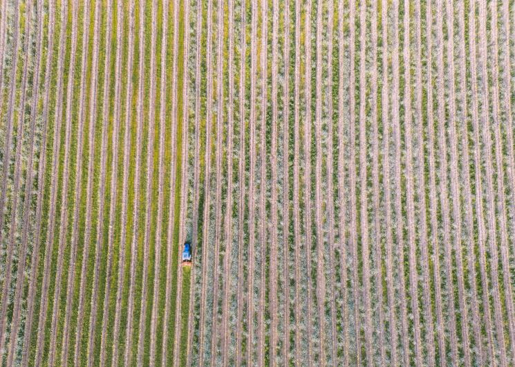 Poudou Wine_Sérignan