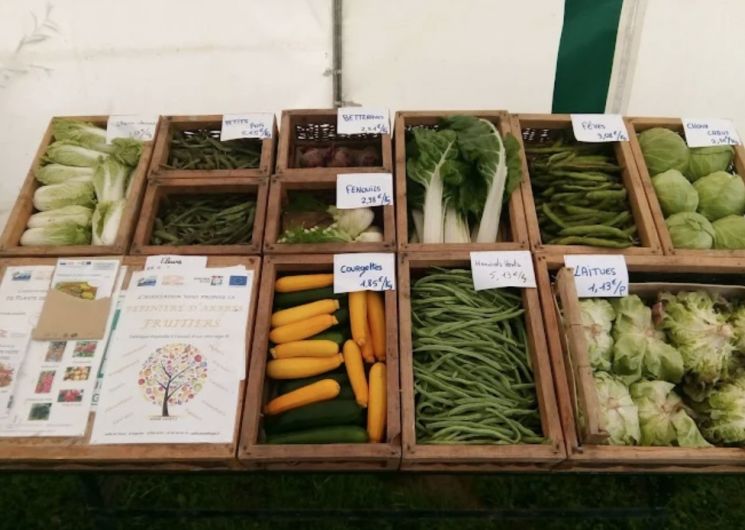 Jardins du Caillaoué_Saint-Médard