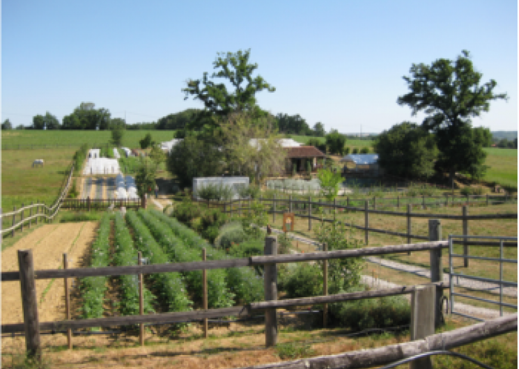 Jardins du Caillaoué_Saint-Médard