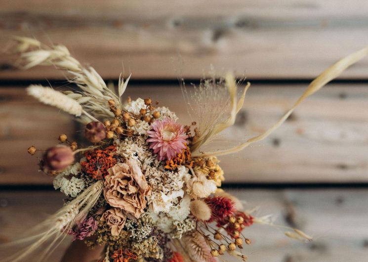 LA FERME DE TERRALYA_Montégut