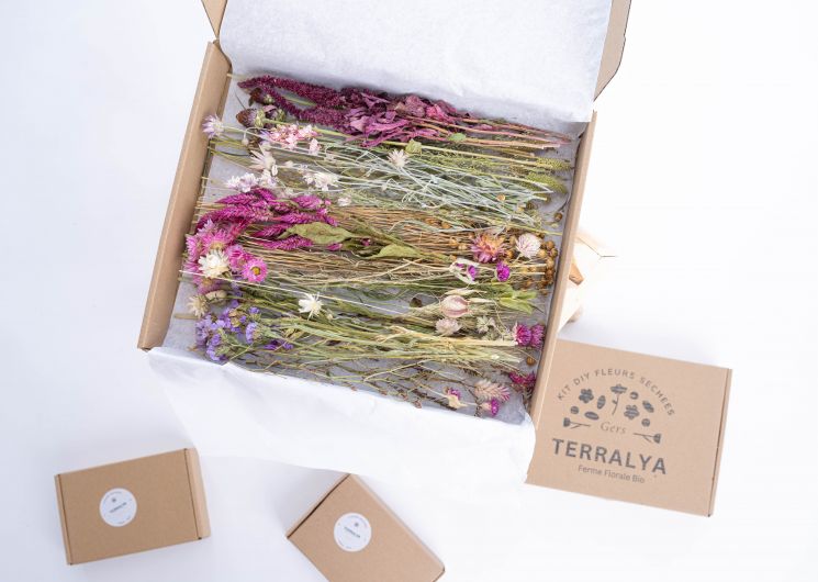 LA FERME DE TERRALYA_Montégut