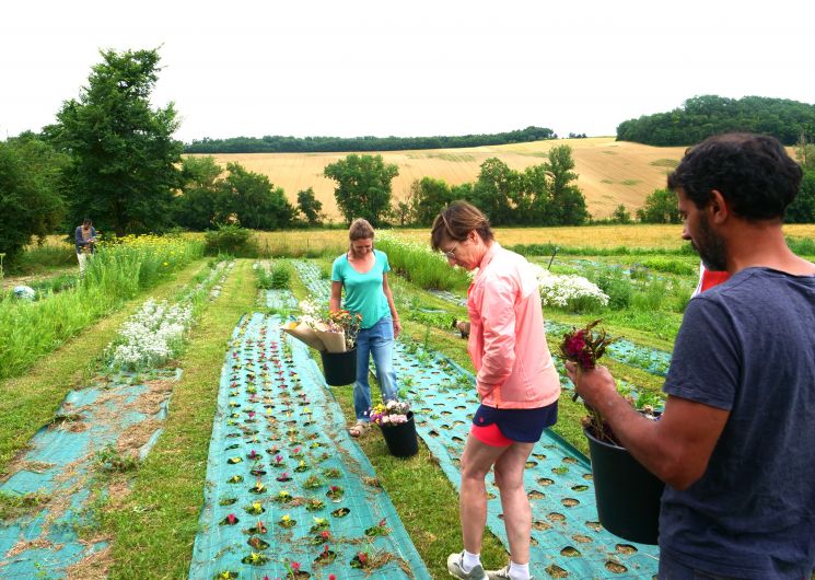 LA FERME DE TERRALYA_Montégut