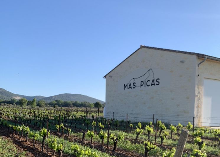 Mas Picas_Corconne