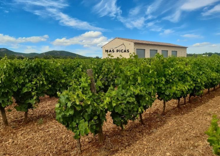 Domaine Mas Picas