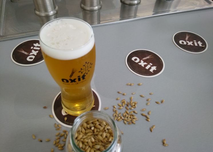 Brasserie OXIT 3