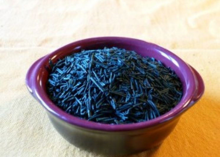 Spiruline - Cocagne - Puylaurens