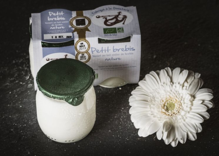 Yaourts au lait de brebis
