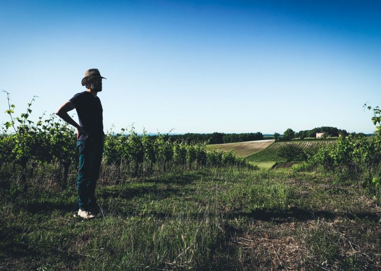 Domaine Pech Del Cel