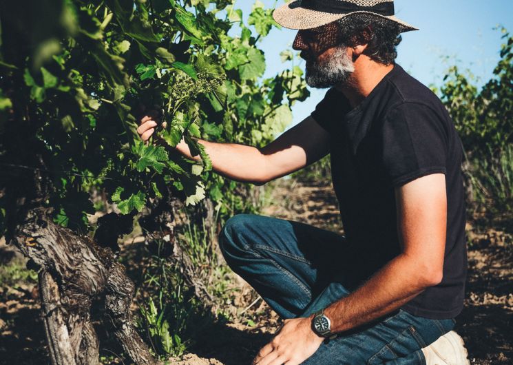 Domaine Pech Del Cel