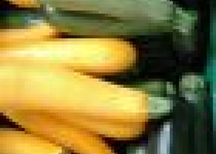 courgettes