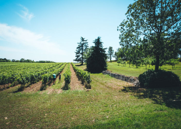 Domaine Gayrard