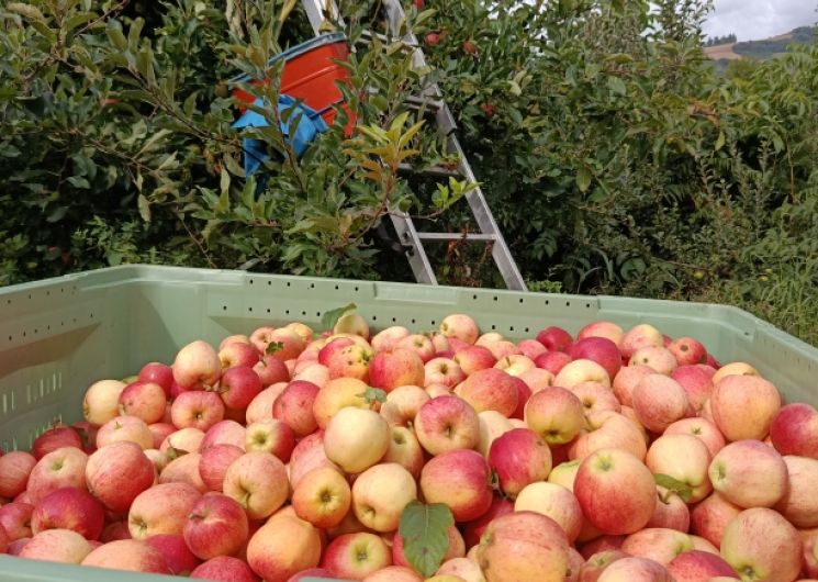 EI Boularan - Mathieu Fruits de Montagne_Miolles