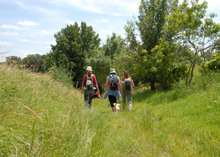 Randonnée des lacs_Glatens