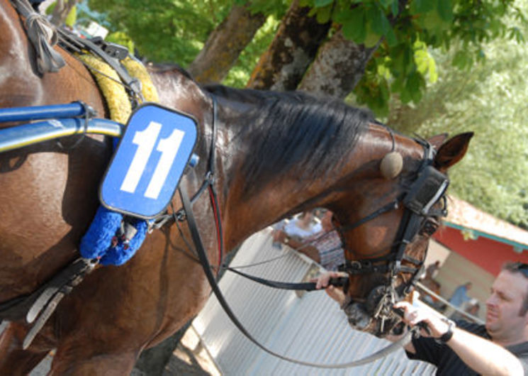 Hippodrome Bordevielle