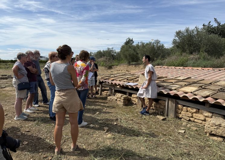 Vendanges Romaines au Mas des Tourelles_Beaucaire