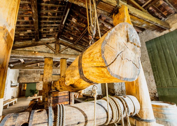 Immersion dans l'histoire et le vin au Mas des Tourelles_Beaucaire