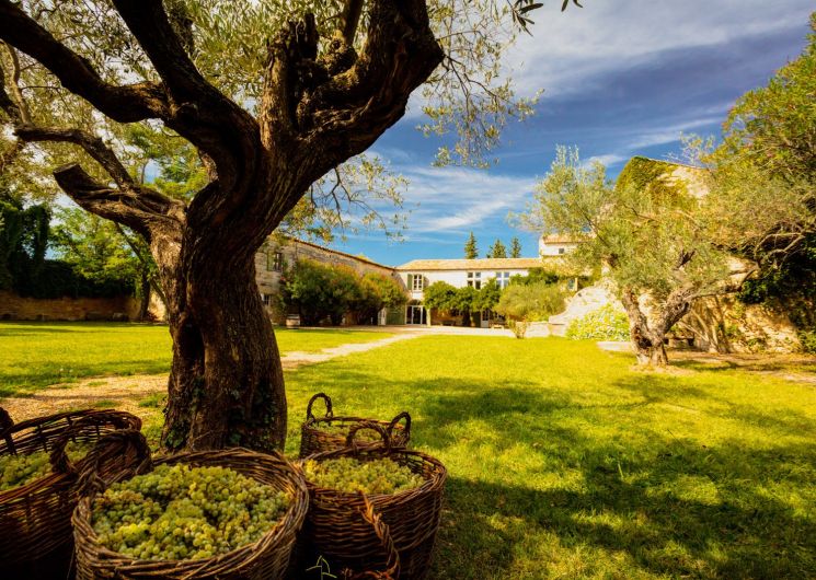 Immersion dans l'histoire et le vin au Mas des Tourelles_Beaucaire