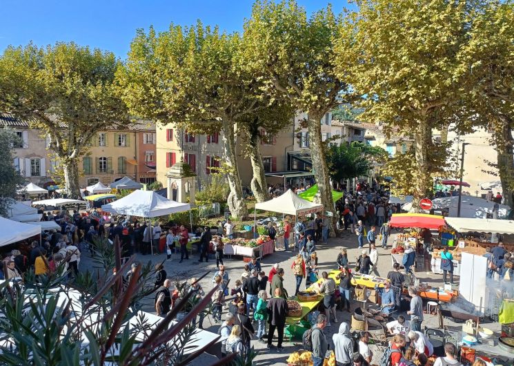 Fête de la Châtaigne_Lasalle