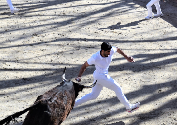 Course camarguaise