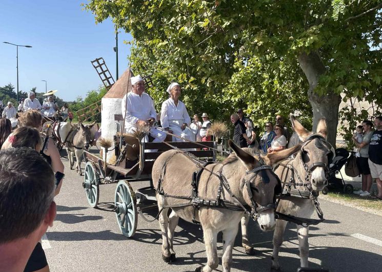 53ème Foire aux chevaux_Fourques