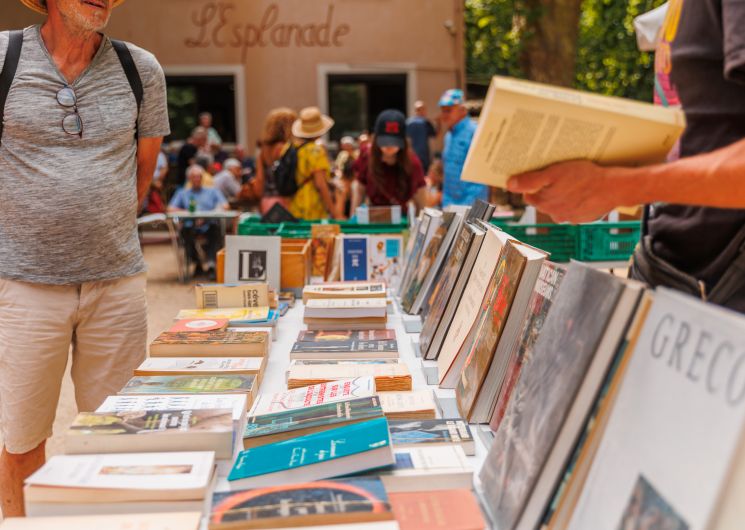 Foire aux livres_Sommières