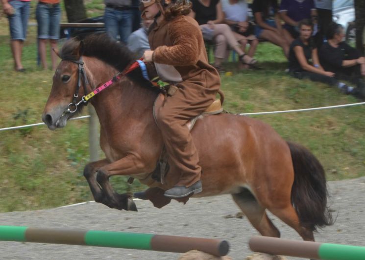 Portes ouvertes à Poney City